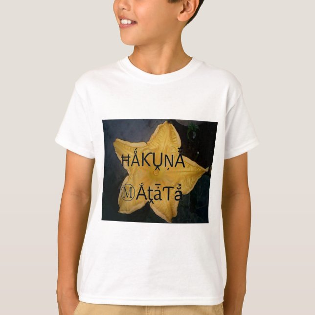 Camiseta Impresión artística de la estrella dorada Hakuna M (Anverso)
