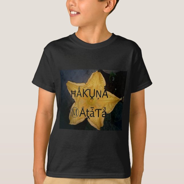 Camiseta Impresión artística de la estrella dorada Hakuna M (Anverso)