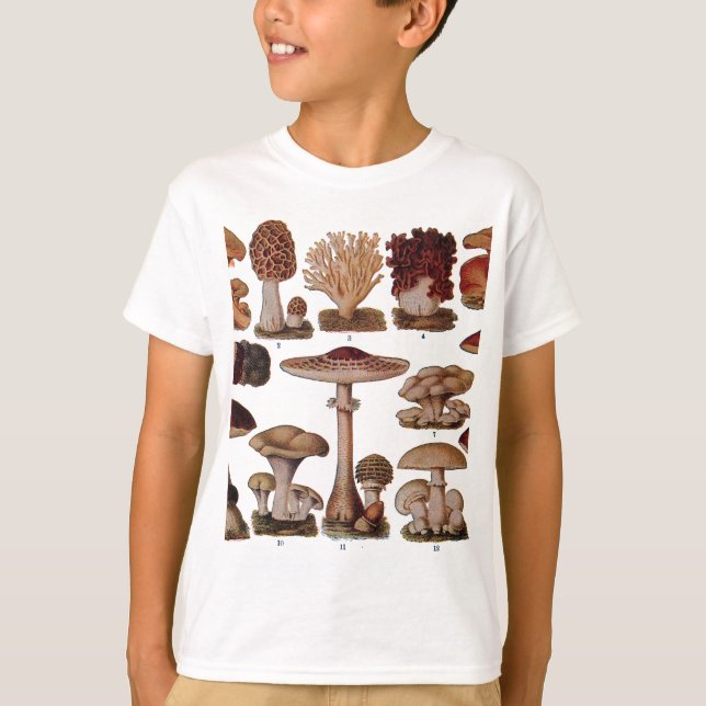 Camiseta Impresión botánica de la familia de hongos de époc (Anverso)