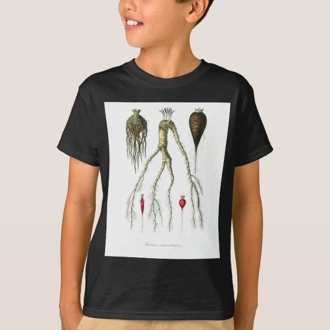 Camiseta Impresión botánica de las verduras de raíz del (Anverso)