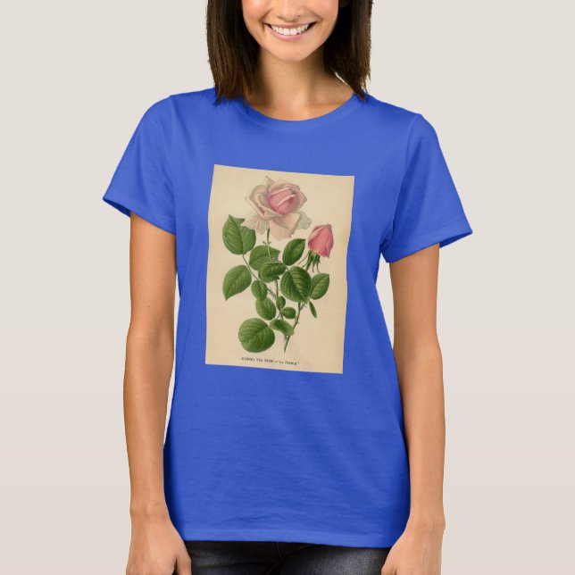 Camiseta Impresión botánica - rosa de té (Anverso)