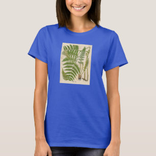 Camiseta Impresión botánica vintage - Bracken / Ferretes