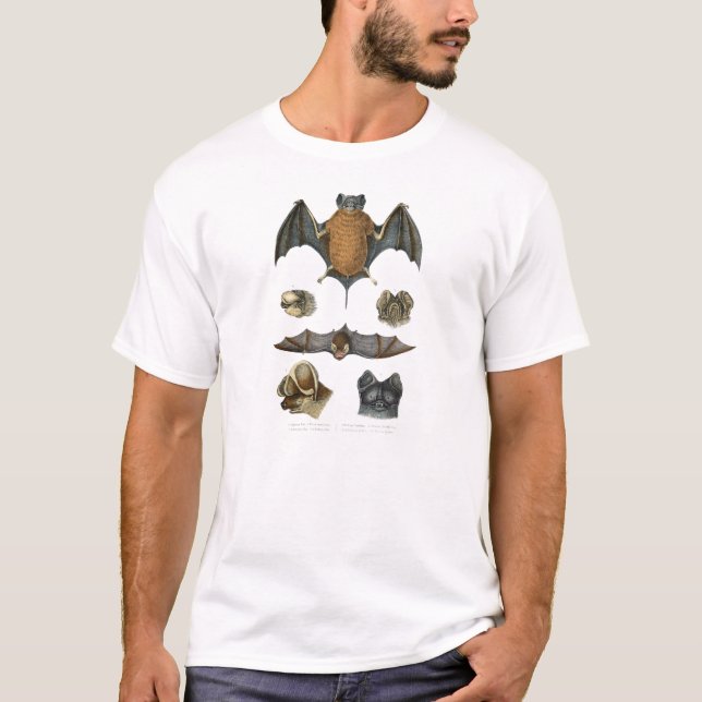 Camiseta Impresión de murciélagos en el C. 19 (Anverso)