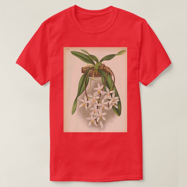 Camiseta Impresión de orquídeas de época Sarcochilus unguic (Diseño del anverso)