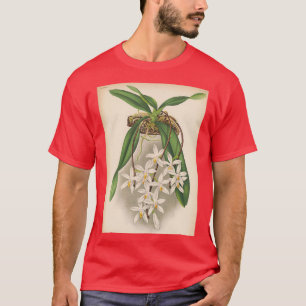 Camiseta Impresión de orquídeas de época Sarcochilus unguic