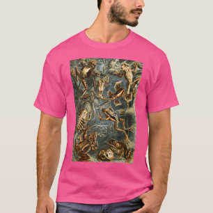 Camiseta Impresión estética de rana de la Academia Oscura C