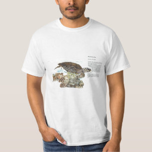Camiseta Impresión pintada con mano de tortuga en peligro d