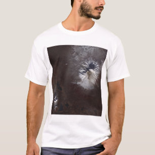 Camiseta Incinere las manchas en el ½ s sl del ¿Â del