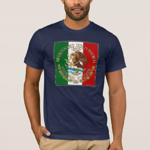 Camiseta Independencia/Revolución Mexicana 2010