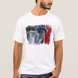 Camiseta India, Rajasthan, Jaipur. Fuerte Amber.