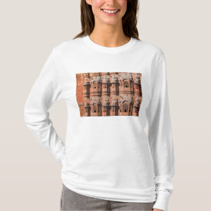 Camiseta INDIA, Rajasthan, Jaipur: Hawa Mahal (Palacio de