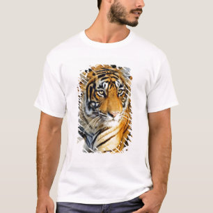 Camiseta India, Sawai Madhopur, Parque Nacional de Ranthamb