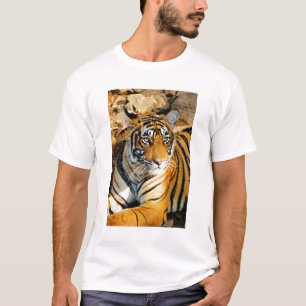 Camiseta India, Sawai Madhopur, Ranthambore National