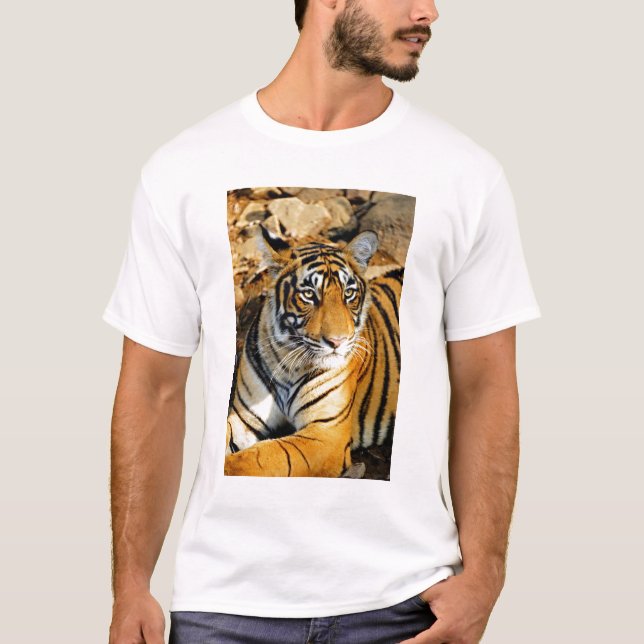 Camiseta India, Sawai Madhopur, Ranthambore National (Anverso)