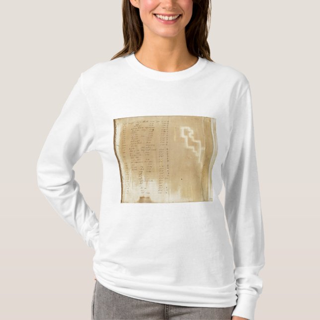 Camiseta Índice Michigan y encuesta sobre la frontera de (Anverso)