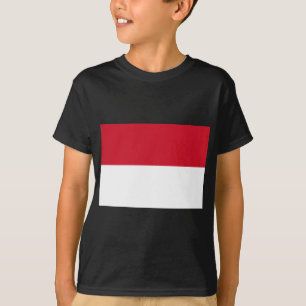 Camiseta indonesia