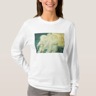 Camiseta Indonesia, provincia de Célebes Meridional, Wakato