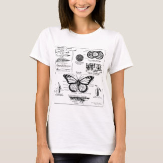 Camiseta Información sobre la mariposa monarca
