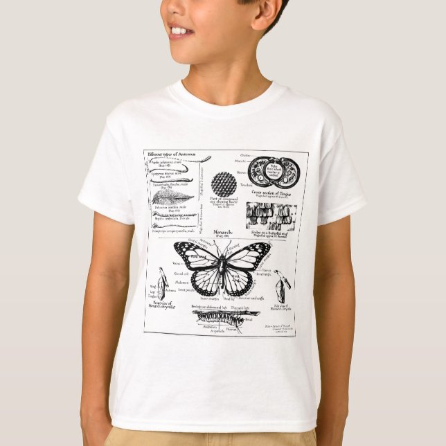 Camiseta Información sobre la mariposa monarca (Anverso)