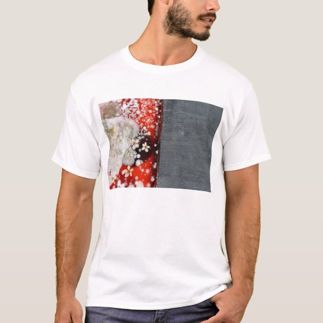 Camiseta Inmortalidad 2 (Anverso)