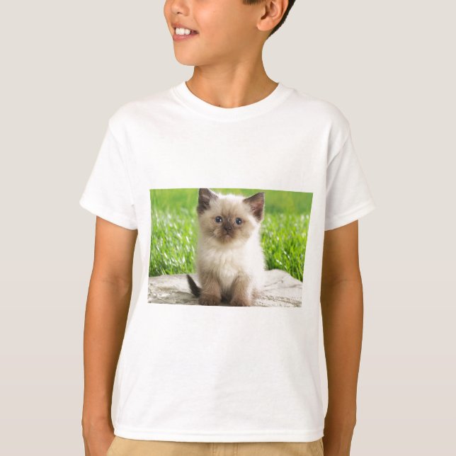 Camiseta Innocent Ragdoll Kitten (Anverso)