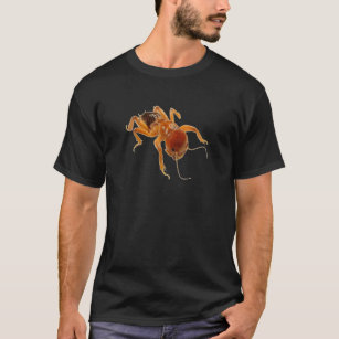 Camiseta Insecto de patata