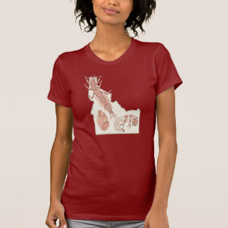 Camiseta Insectos acuáticos de Idaho 