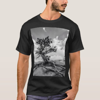 Camiseta Interesante Árbol De Pino En El Camino De Los Jard