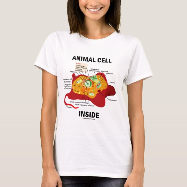 Camiseta Interior animal de la célula (biología celular del (Anverso)