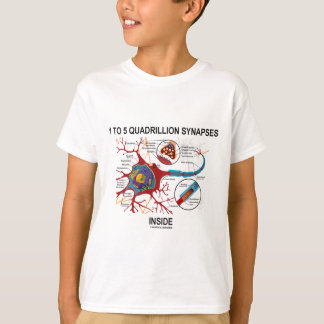 Camiseta Interior de 1 a 5 sinapsis del cuatrillón