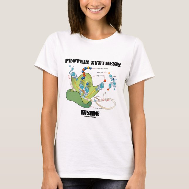 Camiseta Interior de la síntesis de la proteína (biología (Anverso)