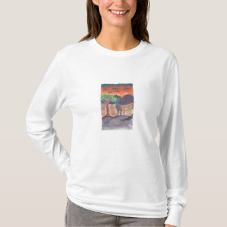 Camiseta International del adaptador de canal a canal -