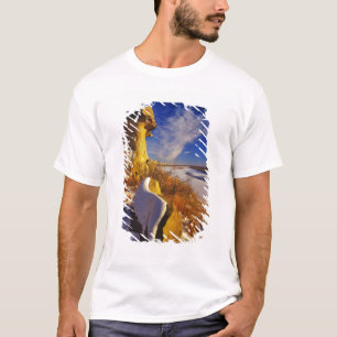 Camiseta Invierno a lo largo del río Missouri cerca