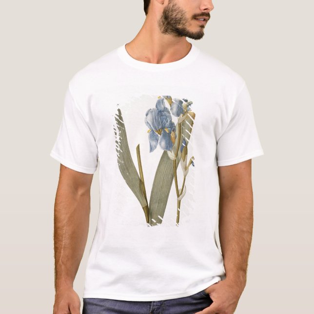 Camiseta Iris Pallida, de "Les Liliacees", 1812 (Anverso)