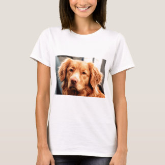 Camiseta Irish Setter