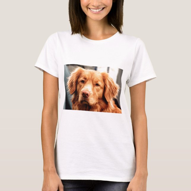Camiseta Irish Setter (Anverso)