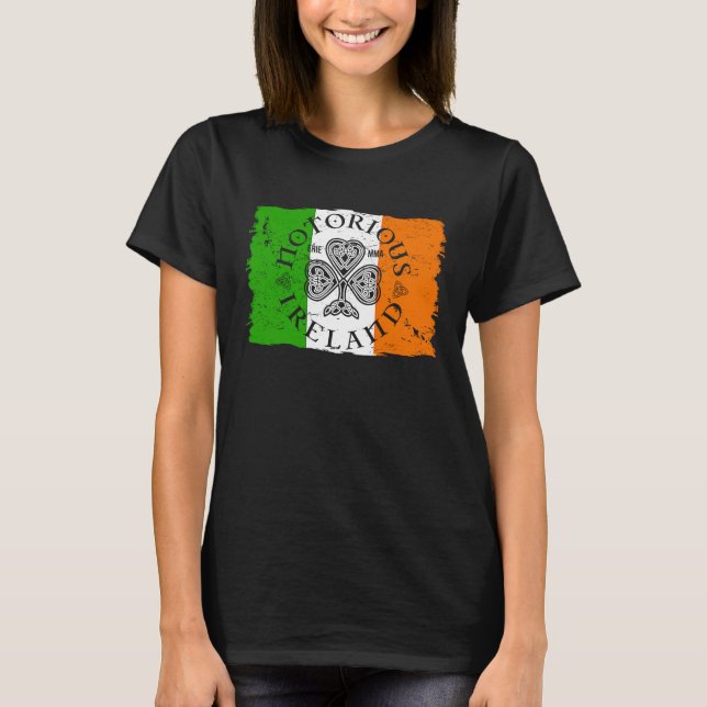 Camiseta Irlanda conocida Erie MMA (Anverso)