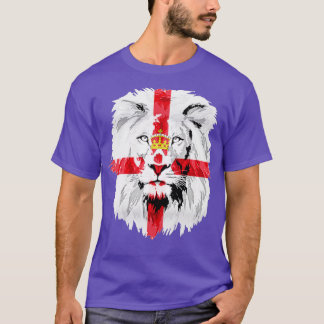 Camiseta irlanda del norte 2