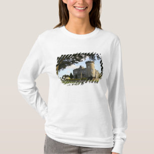 Camiseta Irlanda, la entrada lateral del castillo de Dromol