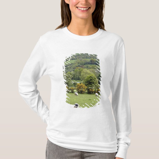 Camiseta Irlanda Occidental, Península de Dingle, amplia (Anverso)