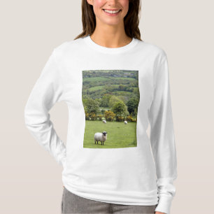 Camiseta Irlanda Occidental, Península de Dingle, amplia