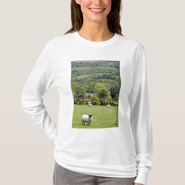 Camiseta Irlanda Occidental, Península de Dingle, amplia (Anverso)