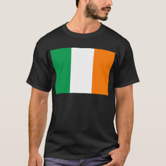 Camiseta irlanda.png