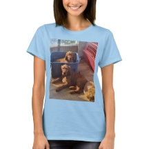 Camiseta irlandesa de Setter Puppies