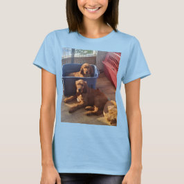 Camiseta irlandesa de Setter Puppies