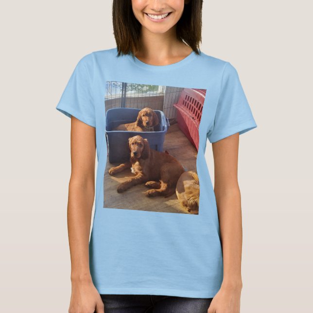 Camiseta irlandesa de Setter Puppies (Anverso)