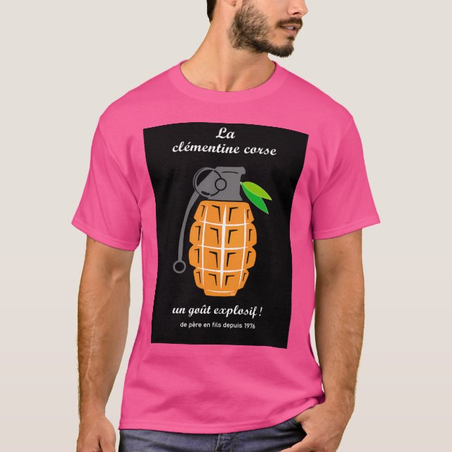 Camiseta Isla Córcega Viaje Flnc Bastia Ajaccio Calvi Bo (Anverso)