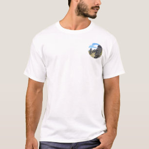 Camiseta isla de pascua, estatuas del moai