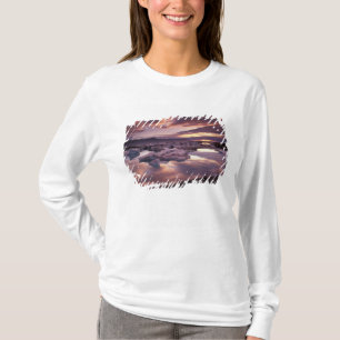 Camiseta Islandia, Laguna Jokulsarlon, Paisaje