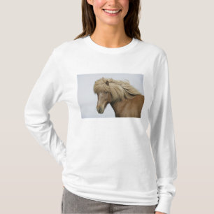 Camiseta Islandia. Retrato de un caballo islandés.